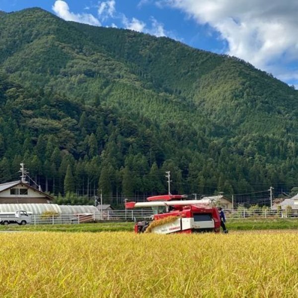 画像3: 【新発売】純米吟醸 生原酒 天ロワール 720ml  (3)