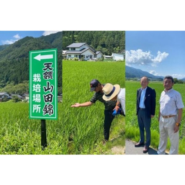 画像4: 【新発売】純米吟醸 生原酒 天ロワール 720ml  (4)