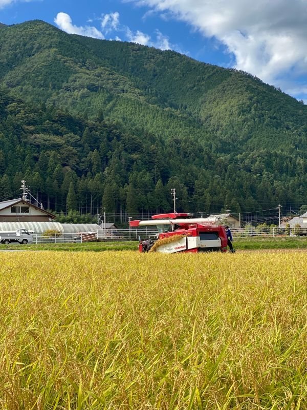 画像2: 【新発売】純米吟醸 天ロワール 下呂市萩原町産 ひだほまれ 300ml  (2)