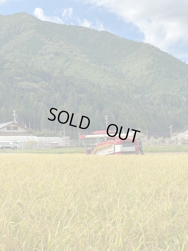 画像3: 純米吟醸　天ロワール　下呂市萩原町産山田錦　300ml　 (3)