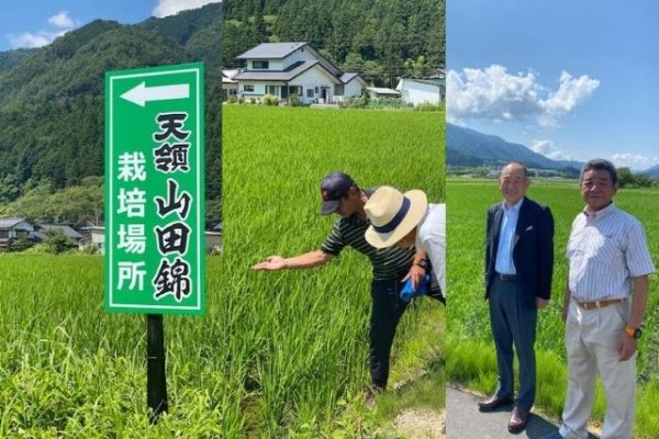 画像4: 【新発売】純米吟醸　天ロワール　下呂市萩原町産山田錦 Dianthus 300ml　 (4)