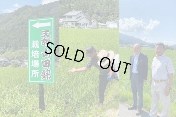 画像4: 純米吟醸　天ロワール　下呂市萩原町産山田錦　300ml　 (4)