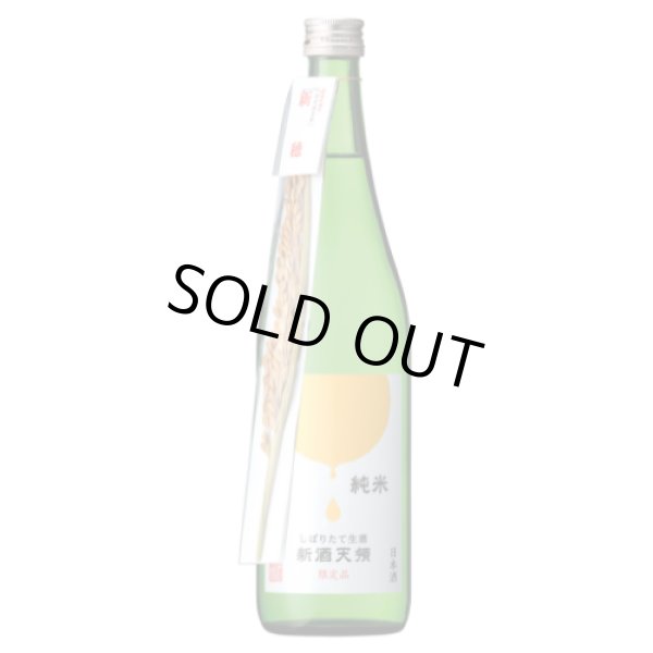 画像1: 純米新酒しぼりたてなま　新酒天領 720ml　 (1)