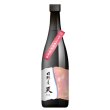 画像1: 日野屋 純米大吟醸 生貯蔵原酒　「天」 720ml　 (1)