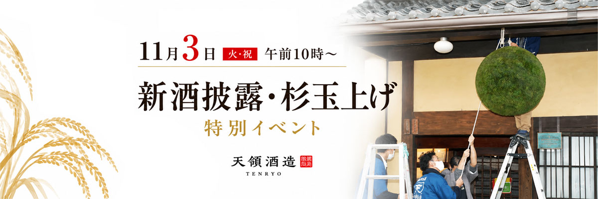 杉玉上げ